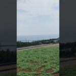 2023年 自分だけの隠れ絶景スポットを見つける #宮古島