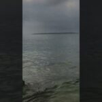 2023年 僕しかいない海で泳ぐ #宮古島
