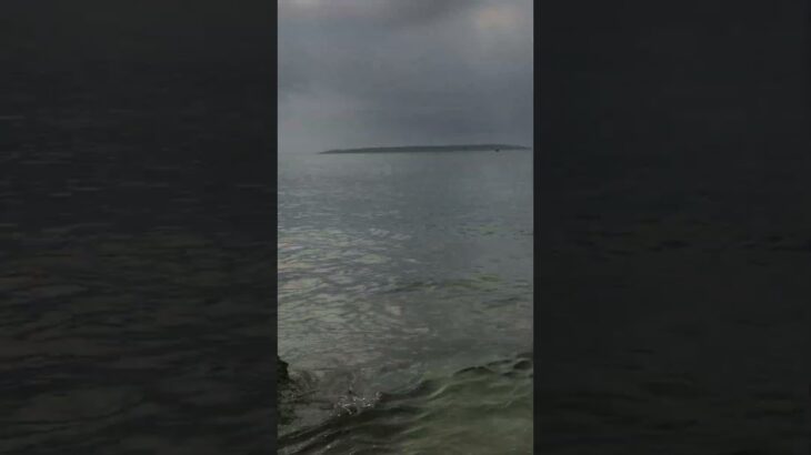 2023年 僕しかいない海で泳ぐ #宮古島
