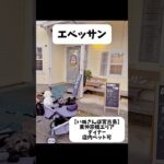 2023年 愛犬と行く宮古島🏝️今回は、東仲宗根エリアにある創作アジアンエスニックのお店【エベッサン】さんのご紹介です🐶#宮古島#宮古島グルメ#宮古島観光#宮古島旅行島#宮古島旅行#愛犬#愛犬がいる暮らし