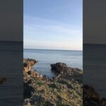 2023年 今日の宮古島はいい天気だったな〜 #宮古島