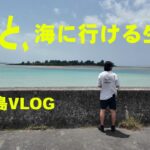 2023年 【宮古島在住vlog】海まで１０分の街に暮らす男の昼ご飯
