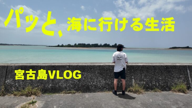 2023年 【宮古島在住vlog】海まで１０分の街に暮らす男の昼ご飯