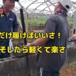 2023年 宮古島芸人　1095日のお茶つくり　先輩の雨具問題
