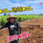 2023年 宮古島芸人　お茶作り1095日挑戦　