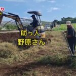 2023年 宮古島芸人が作る　宮古島のお茶ズミ茶　1095日の挑戦