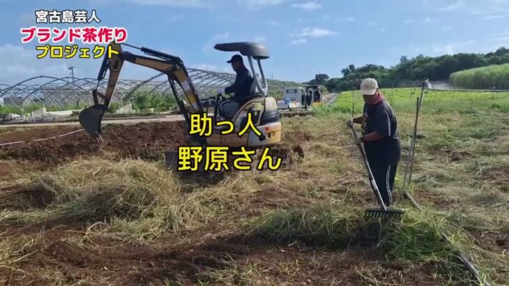 2023年 宮古島芸人が作る　宮古島のお茶ズミ茶　1095日の挑戦