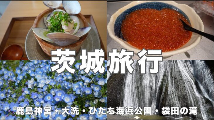 【茨城1泊2日】鹿島神宮・ひたち海浜公園・袋田の滝をめぐる旅