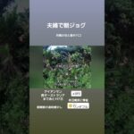 2023年 朝ジョグ。宮古島はテッポウユリと月桃の花が終盤。アイアンマン西オーストラリアまであと197日。#アイアンマン #セカンドライフ #トライアスロン #宮古島