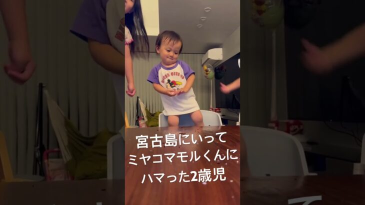 2023年 宮古島にいって、みーやこみやこマモル君にハマっている2歳児　最後は爆笑でおばちゃんみたいに手を叩いて笑う笑　長いけどぜひ最後まで見てください。元気になれます😛