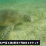 2023年 2024年GW 宮古島 新城