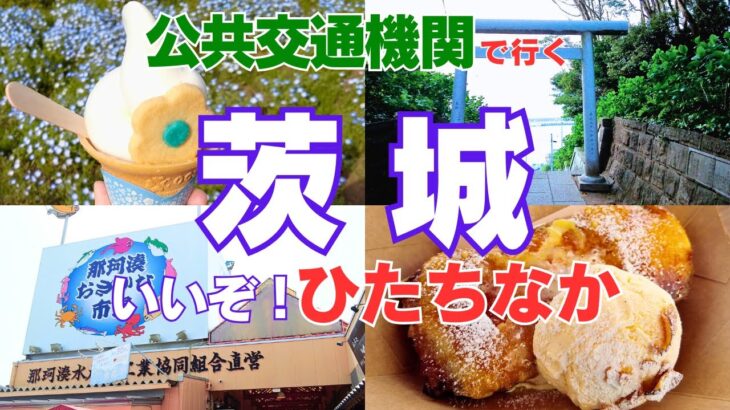 【女ひとり旅／車なし・公共交通】茨城県ひたちなか2025観光／那珂湊おさかな市場で海鮮♪国営ひたち海浜公園でネモフィラ♪ひたちなか海浜鉄道で巡る日帰り旅