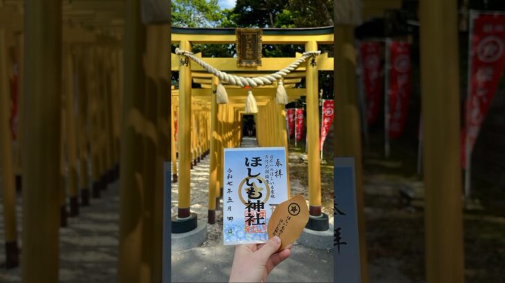 ほしいも神社🍠⛩️ #2025 #travel #trip #旅行 #旅 #茨城 #茨城県 #観光地 #観光 #御朱印 #神社巡り #神社 #干し芋 #japan #ibaraki #040