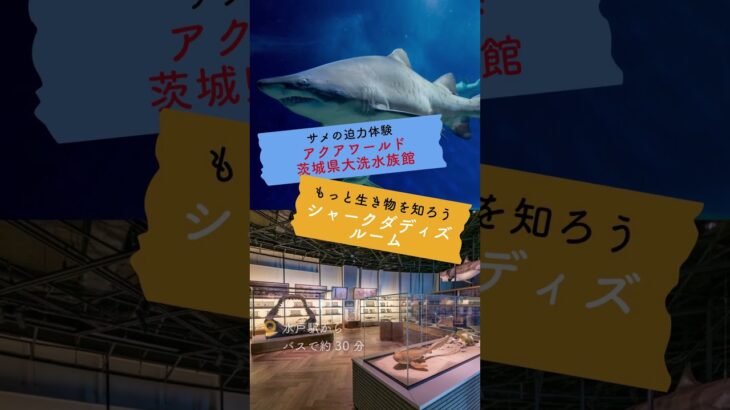 2025年に行きたい茨城🌼まだ知られていない“新・名所”3選！