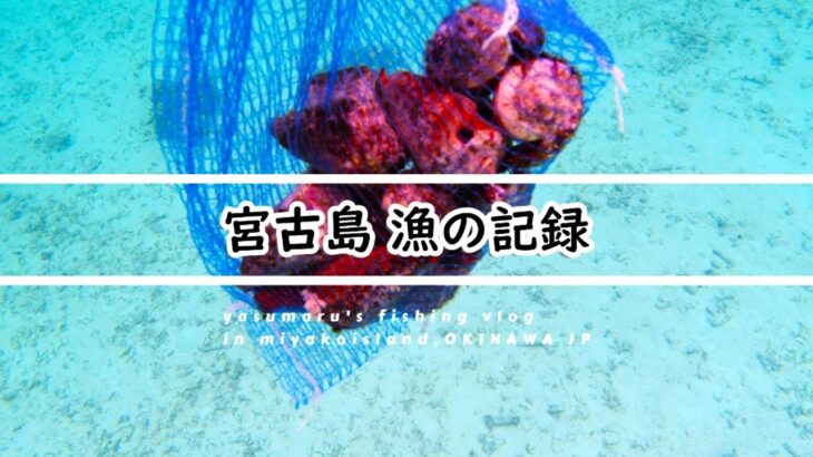 2023年 【沖縄・宮古島の海2025】漁の記録4月 ティラジャー漁終盤 fishing VLOG