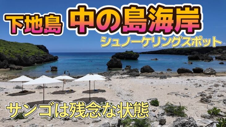 2023年 下地島のシュノーケリングスポット 中の島海岸 サンゴは壊滅で残念な状態 【2025年5月 宮古島の海旅】