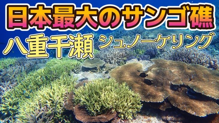2023年 奇跡の海 八重干瀬 日本最大のサンゴ礁 海好きなら絶対行って【2025年5月 宮古島の海旅】