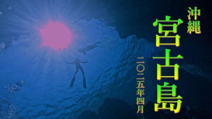 2023年 2025年GW 宮古島ダイビング
