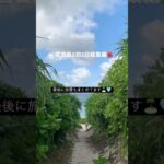 2023年 宮古島2泊3日🏝️最後に旅費も公開❕