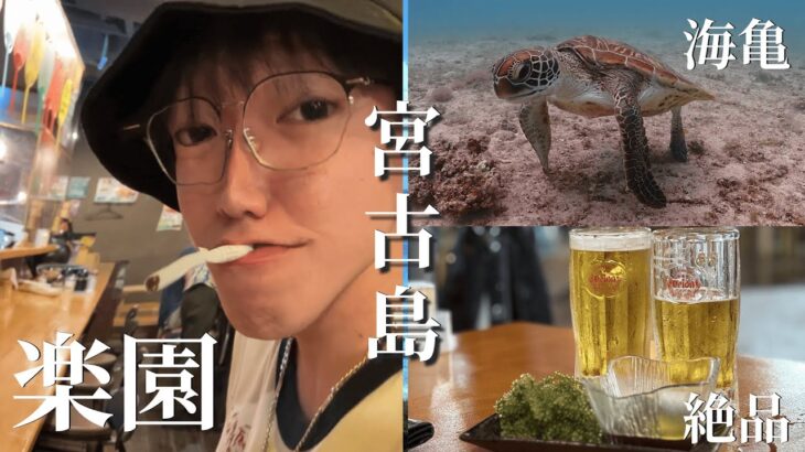 2023年 【島唄あり】限界2年目社会人が宮古島で爆飲み爆遊び【宮古島】【Vlog】