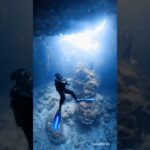 2023年 下地島35ホール、水中洞窟最高！ #diving #scubadiving #宮古島