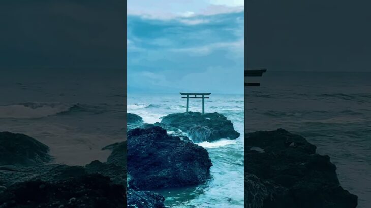 死ぬまでに行きたい絶景スポット3選【夏の茨城県編】#shorts #short #旅行 #絶景 #絶景スポット #国内旅行 #観光スポット #観光 #おすすめにのりたい #夏