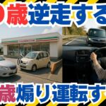 2023年 県内初の摘発　宮古島市で45歳女を「あおり運転」書類送検2分間の進路妨害#あおり運転 #ドラレコ映像 #交通事故解説