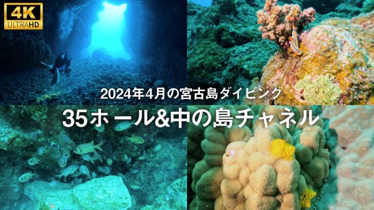 2023年 【4K・水中映像】沖縄・宮古島ダイビング（35ホール&中の島チャネル）【2024年04月】