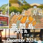 2023年 【50’s宮古島リゾバvlog③】来間島にあるシーウッドホテル！クリスマスシーズンの閑散期でまったり！
