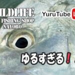 2023年 5/11 ゆるちゅーぶ　南国フィッシング行脚　in 宮古島