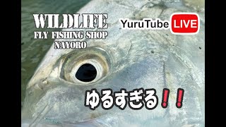 2023年 5/12 ゆるちゅーぶ　南国フィッシング行脚　in 宮古島