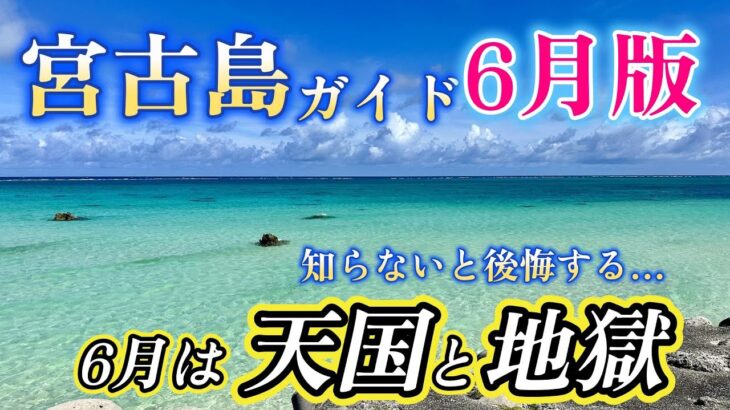 2023年 知らないと後悔する！6月の宮古島旅行は天国&地獄あり【宮古島ガイド6月版】