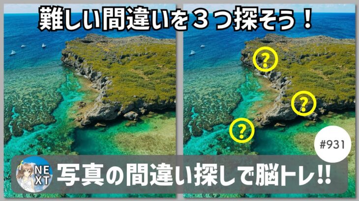 2023年 『間違い探し』写真で脳トレ！ #931 「宮古島の珊瑚礁」「蘭陵王の銅像」「雨の錦糸町駅前」【高難易度】｜Find the difference game in photos