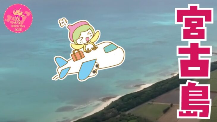 2023年 初・宮古島 / 羽田空港 / 宮古空港 / 日本では沖縄にしかない A&W / リコリス・リコイル 第13話の聖地 / 伊良部大橋 / ひとり旅