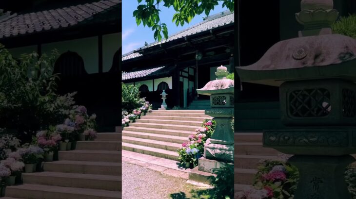 Amehiki Kannon / 雨引観音　#travel #旅行 #visitjapan #観光 #japan #japantravel #traveljapan #ibaraki #茨城県
