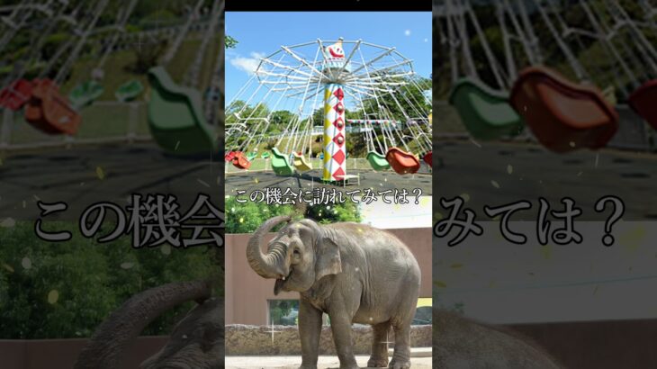 いばらき観光マイスターが教えるGWにおすすめな観光スポット3選 #shorts #GW #茨城県 #いばらき観光マイスター