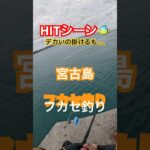 2023年 【HITシーン】【宮古島釣り】【大物を掛けるも、、】#カーエー #釣り #ふかせ釣り #フカセ釣り #アウトドア #タマン #ロウニンアジ #宮古島 #沖縄釣り #shimano #daiwa