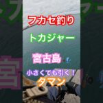 2023年 【HITシーン】【トカジャー】【宮古島釣り】#カーエー #釣り #ふかせ釣り #フカセ釣り #アウトドア #タマン #ロウニンアジ #宮古島 #沖縄釣り #shimano #daiwa
