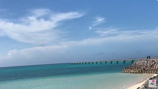 2023年 宮古島ライブ配信!  Live‼  MIYAKO island 05/19/2025