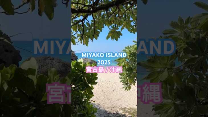 2023年 【MIYAKO ISLAND】 宮古島 #miyakoisland #okinawa #宮古島 #沖縄