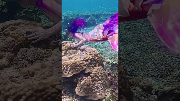 2023年 Mermaid&coral   #coral  #mermaid #マーメイド #人魚 #宮古島  #珊瑚礁