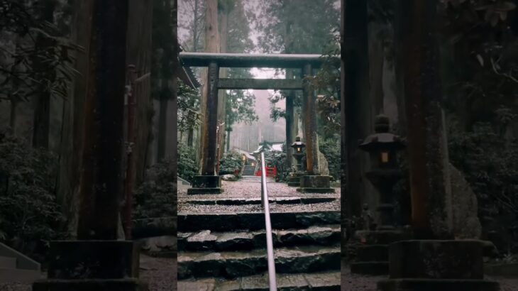Oiwa Shrine / 御岩神社 #travel #旅行 #visitjapan #観光 #japan #japantravel #hitachi #御岩神社 #日立 #ibaraki #茨城県