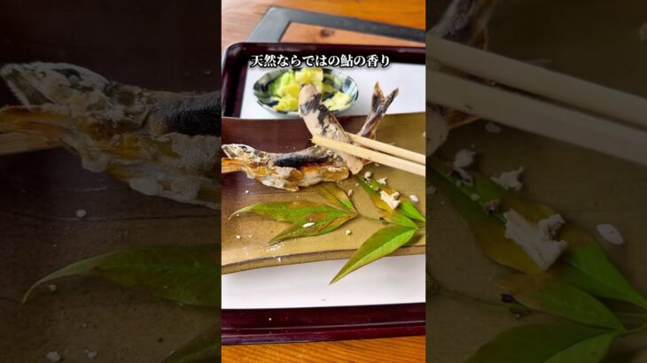 茨城グルメ【SNSでほとんど紹介されていないロケーション抜群の名店】大子町 うめ吉