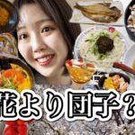 2023年 【花見旅行】VLOG 沖縄（宮古島）から出たら食欲が暴走しすぎた　桜前線とともに〜東北編