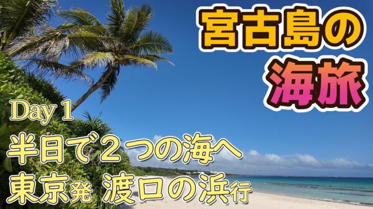 2023年 宮古島シュノーケリングの旅VLOG 東京から到着日の半日で中の島海岸と渡口の浜の海を巡る【2025年5月 宮古島の海旅】1日目