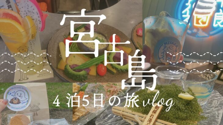 2023年 【宮古島】人気居酒屋🍺スイーツ🍰巡り【Vlog】