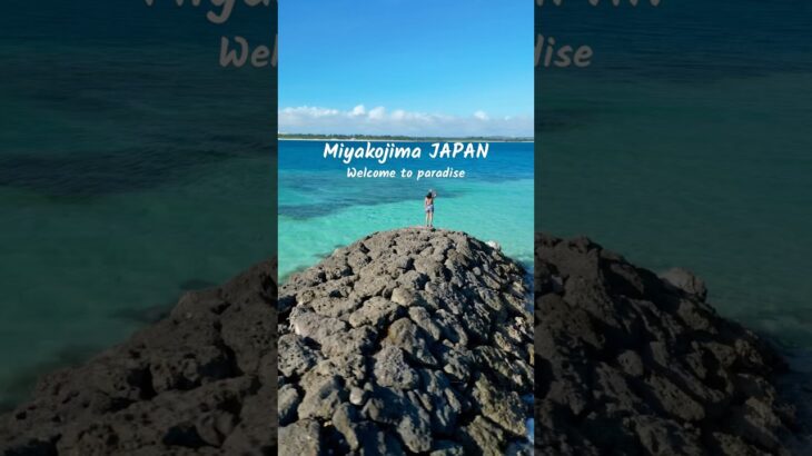 2023年 Welcome to paradise #miyakojima #miyako #miyakoisland #미야코지마 #야비지 #미야코섬 #오키나와