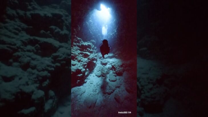 2023年 魔王の宮殿ダイジェスト #diving #scubadiving #宮古島