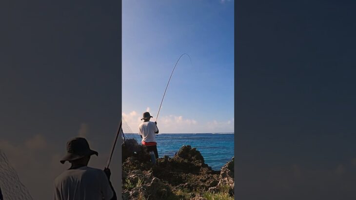2023年 初めて釣ったよー #釣り #fishing #ふかせ釣り #宮古島