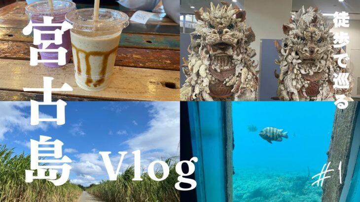2023年 【旅log】らごすの宮古島旅行【前編】